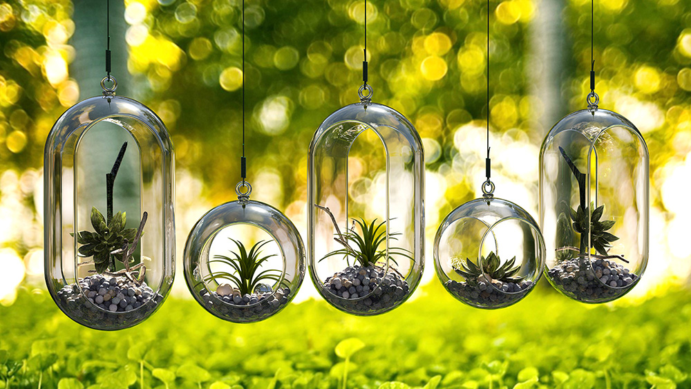 3D CG Photography